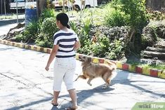 a young boy walking his dog down the street