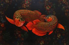 two red fish swimming next to each other on a black surface with flowers in the background