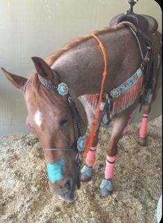 a brown horse standing on top of a pile of dirt next to a white wall