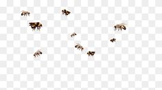 several bees flying in the air on a white background, with no image or text