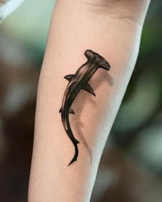 Overhead Shark Tattoo, Men’s Shark Tattoo, Hammerhead Shark Tattoo Men, 3d Shark Tattoo, Hammerhead Shark Skeleton Tattoo, Great Hammerhead Shark Tattoo, Hammer Head Shark Tattoos Outline, Basking Shark Tattoo