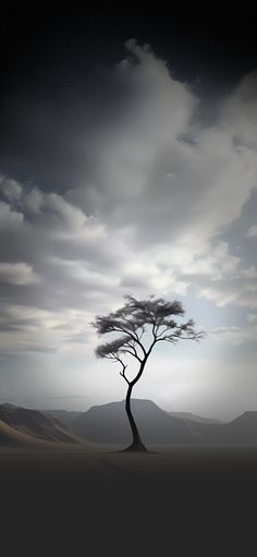 a lone tree in the middle of nowhere