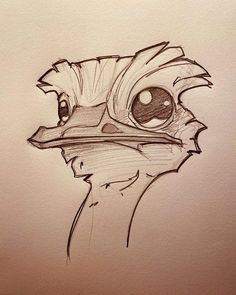 a drawing of a bird with big eyes