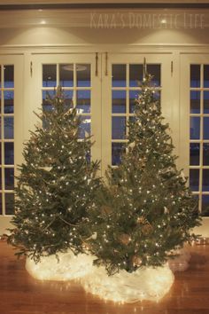 two fake christmas trees sitting on top of a wooden table in front of some windows