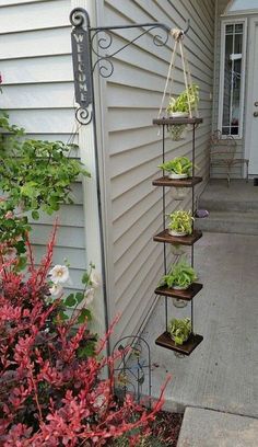 an outdoor garden with plants growing in pots and hanging from the side of a house