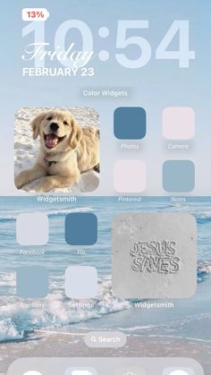 an image of a dog on the beach with color swatches and text below it