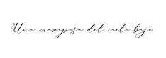 the word un nappingo del cilo bigi written in cursive ink