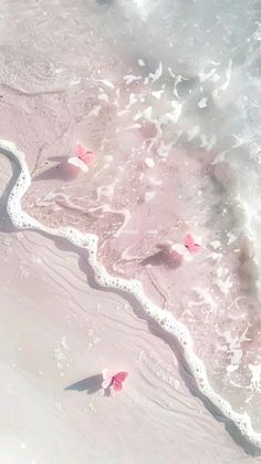 pink flowers floating in the water on top of a sandy beach next to the ocean