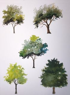 four different trees painted in watercolor on white paper