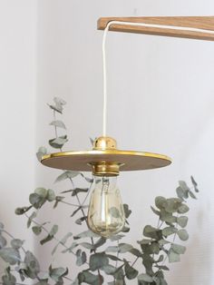 a light that is hanging from a ceiling fixture next to a potted plant with green leaves