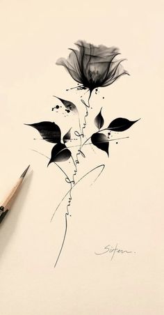 a pencil drawing of two flowers on paper