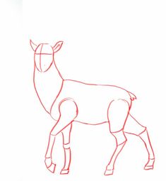 how to draw an antelope step by step