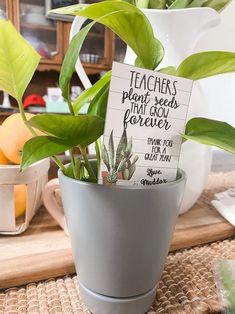 a potted plant sitting on top of a table next to a sign that says teachers plant seeds i am god forever