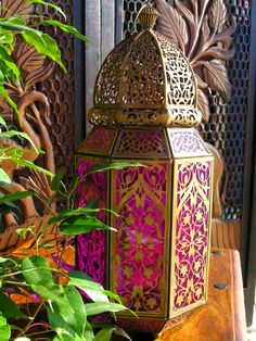 a purple and gold lantern sitting on top of a wooden table next to green plants