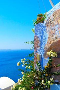 flowers growing on the side of a building next to the ocean with blue water in the background