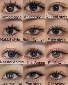 Butterfly Eyelashes Extensions, Lash Mapping Asian Eyes, Douyin Eyelash Extensions, Fairy Lash Extensions Map, Types Of Lashes Extensions Styles, Different Eyelash Styles, Manhua Lash Map, Lash Cluster Map Doll Eye