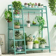 an assortment of potted plants on a shelf