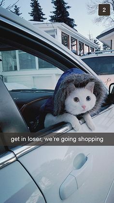 a white cat wearing a furry hat sitting in the passenger seat of a car