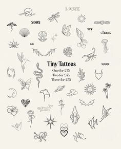 the cover of tiny tattoos, one for every two for us there is $ 25