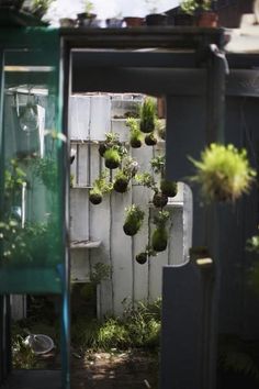 an outdoor garden with plants growing on the wall and in pots hanging from it's sides