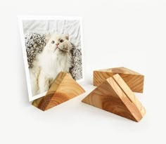 a white cat sitting next to three wooden pyramids on top of a white surface