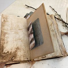 an open book sitting on top of a table next to dried up branches and twigs