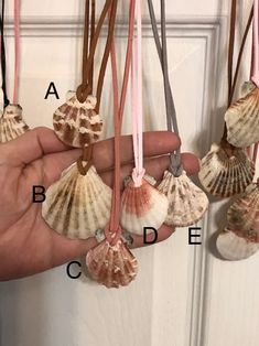 several seashells are hanging from a door with pink ribbon and leather cord attached to them