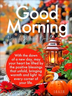 good morning have a hearty day with the dawn of a new day may your heart be lit by the positive blessing, warmth and light to every corner of your life