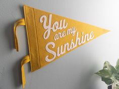 a yellow pennant that says you are my sunshine hanging on the wall next to a potted plant