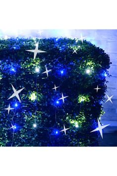 Shop For 4' x 6' Blue and Cool White 5mm LED Smooth Fade DreamSpark Net Lights Bushes And Shrubs, Net Lights, Work Wreath Forms, Patriotic Christmas, Lantern Candle Decor, Water Globes, Work Wreath, Halloween Ribbon, O Holy Night