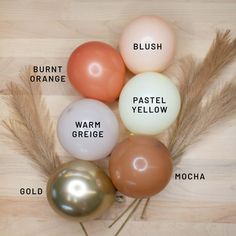 an assortment of different colored balloons on a wooden surface with text describing the names of each balloon