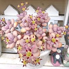 a vase filled with lots of pink flowers on top of a white shelf next to a teddy bear