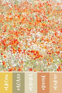 Color palette with warm tones. Hex Code Color Palette, Color Palette With Hex Codes, Terra Cotta Color Palette, Sunset Color Palette, Orange Palette, Fall Color Palette, Green Colour Palette, Sunset Colors