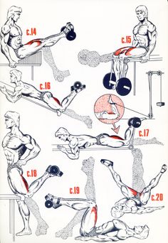 an image of a poster showing the different exercises used by men in various sports activities