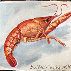 a watercolor painting of a lobster