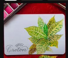 a drawing of a green leaf on top of a white paper with crayon