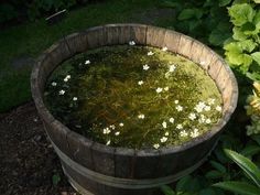 a wooden barrel filled with water and flowers