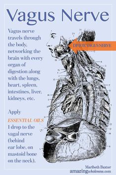 Systemic Inflammation, Ask Out, Young Living Oils, Nerve Pain