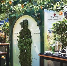 a display in the shape of a man's torso with plants growing on it