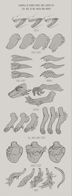 an image of different types of fish