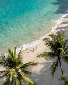 two people walking on the beach next to some palm trees and clear blue ocean water