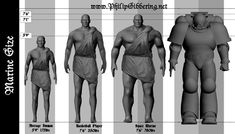 an image of the size and proportion of men's body shapes in different poses