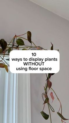 a plant hanging from the ceiling with text over it that reads 10 ways to display plants without using floor space