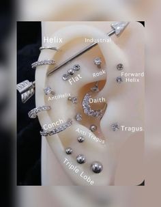 an earring is shown with different types of piercings on the inside of it