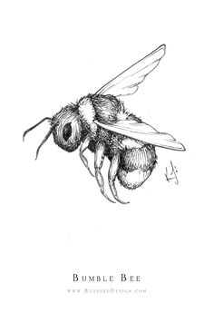 a black and white drawing of a bumble bee with the words bumble bee on it