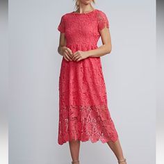 Smoke Free Home, Fit Comparable To A Size 16 Red Lace Midi Dress With Short Sleeves, Red Lace Feminine Dress, Spring Red Lace Midi Dress, Casual Red Lace Dress, Red Lace Dress For Brunch, White Strapless Midi Dress, Garnet Dress, Flare Dress Casual, Pink Stripe Dress