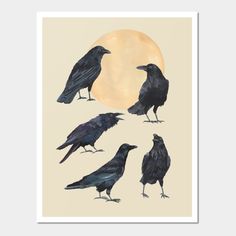 four black crows standing in front of a full moon art print by artist and photographer laura williams