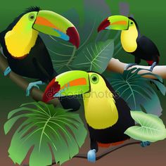 three toucans sitting on a tree branch in the jungle with tropical plants and leaves