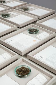 several trays filled with papers and tea leaves on top of each other in glass bowls