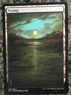 a card with a painting on it that says swamp in front of the sun and water